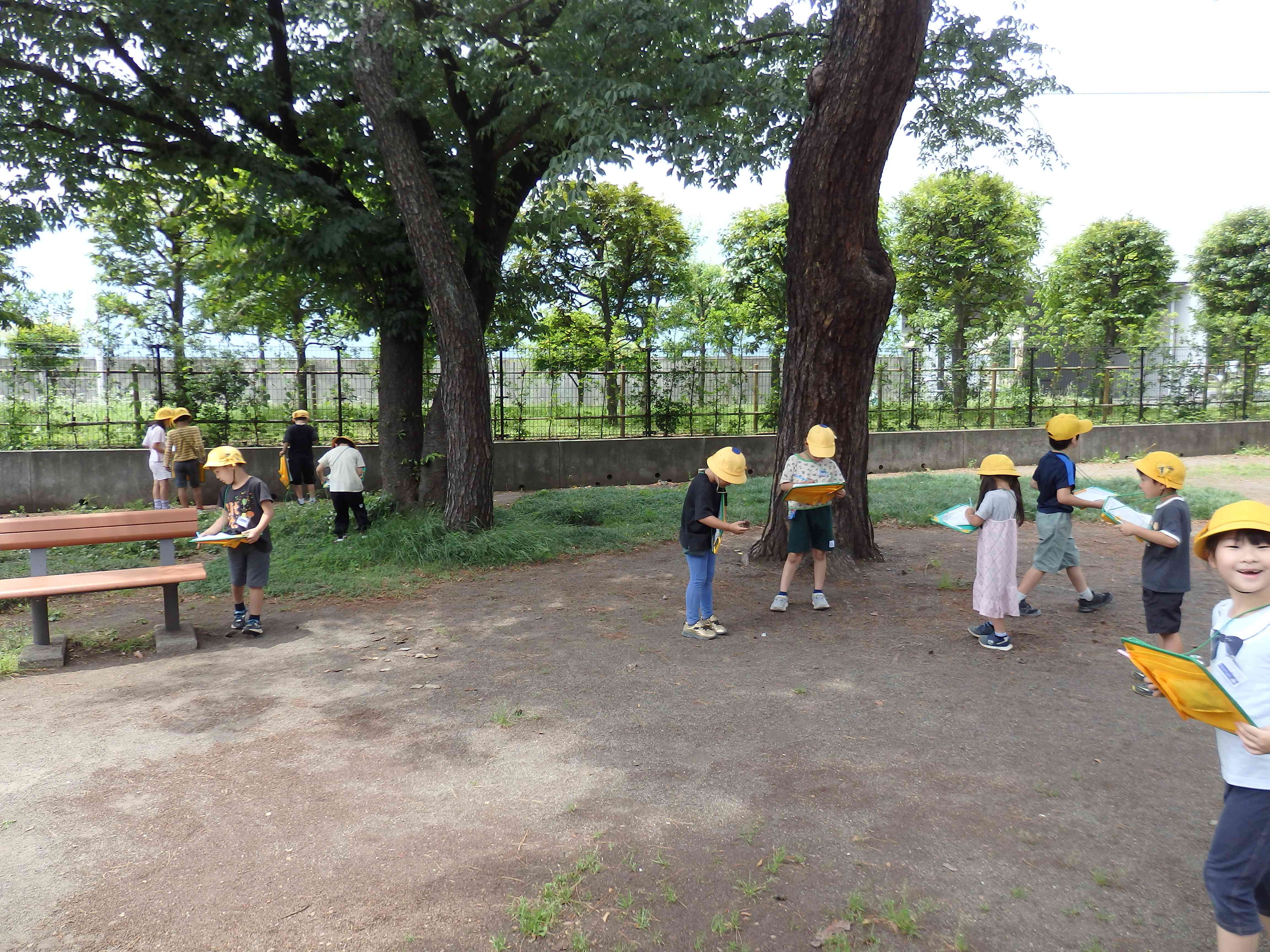 P6061251