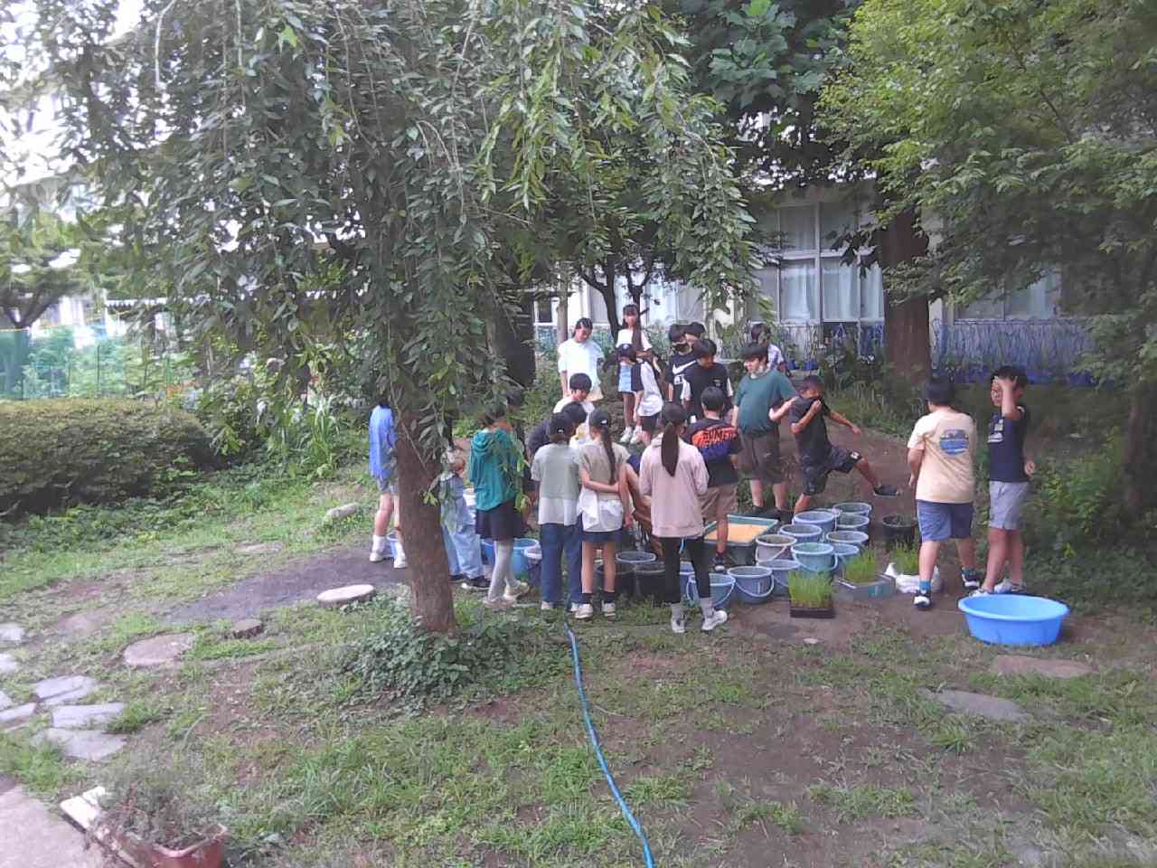 IMG_20250702_090740