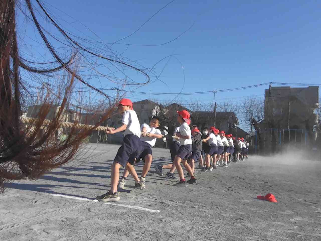 IMG_20251212_141212 (1)